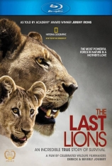 最后的狮子 The Last Lions |