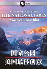 国家公园美国最佳创意 Null