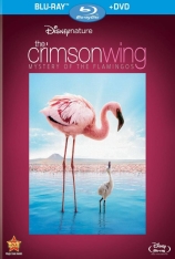 红色翅膀：火烈鸟故事 红色羽翼：火鹤之谜 | The Crimson Wing: Mystery of the Flamingos 