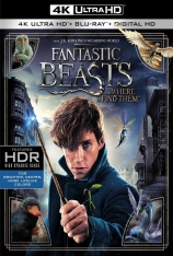 4K Atmos 神奇动物在哪里  怪兽与它们的产地 |  Fantastic Beasts and Where to Find Them 