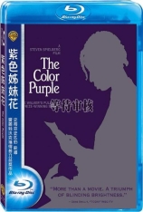 紫色 紫色姊妹花 | The Color Purple 