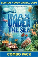 海底世界 海底猎奇 | Under the Sea 3D 