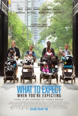 孕期完全指导 好孕大作战 | What to Expect When You're Expecting 