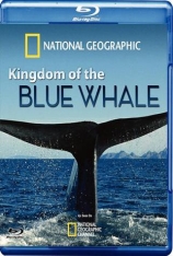 蓝鲸王国 Kingdom of the Blue Whale |  