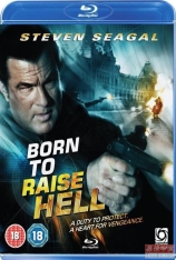 天罡星下凡 无情的复仇 | Born to Raise Hell 