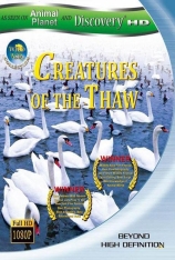 解冻的生物 Animal Planet and Discovery HD Creatures of The Thaw |  