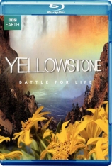 黄石公园 BBC黄石公园 | Yellowstone 