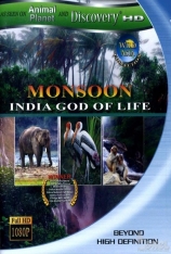 狂野亚洲:雨季：印度的生命之神 Null