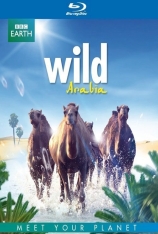 狂野阿拉伯 Wild Arabia |  