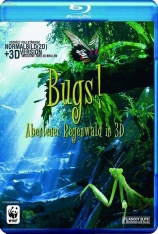 热带雨林里的昆虫 3D 虫子：热带雨林冒险 | Bugs!: A Rainforest Adventure 