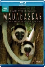 BBC 马达加斯加岛 BBC Madagascar | 马达加斯加