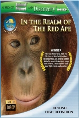 狂野亚洲:红毛猩猩的世界 BBC自然世界：红毛猩猩野外生存任务 | Orangutans: The Great Ape Escape 