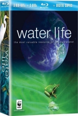 水世界:水的世界与水的旅行 Water Life