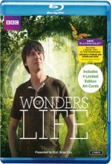 生命的奇迹 Wonders of Life