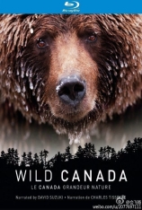 野性加拿大 第1碟 Wild Canada Season 1 |  