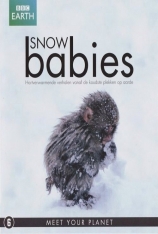 BBC - 雪地宝宝 冰上动物宝宝 | Snow Babies 