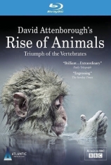 BBC 动物的崛起之哺乳动物的胜利 David Attenborough's Rise of Animals: Triumph of the Vertebrates |