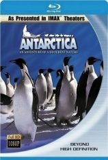 IMAX-南极洲不一样的大自然探险之旅 Null