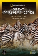 生灵的远征 第1碟 Great Migrations