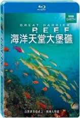 海洋天堂大堡礁 Great Barrier Reef