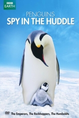 企鹅群里有特务 Penguins: Spy in the Huddle