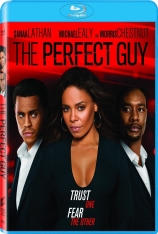 完美家伙 完美男人 | The Perfect Guy 