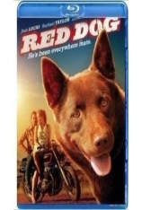 红犬历险记 红犬背包客 | Red Dog 