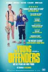 少年犯 年少轻狂 特辑 | The Young Offenders 