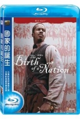 一个国家的诞生 国家的诞生 |  The Birth of a Nation 