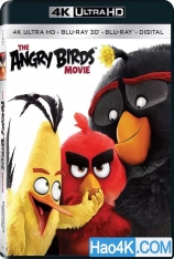 4K Atmos 愤怒的小鸟 中字 国语 愤怒的小鸟大电影 | Angry Birds 