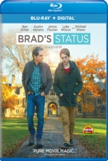 你好布拉德 布拉德的中年危机 | Brad's Status 