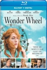 摩天轮  奇幻摩天轮 | Wonder Wheel 