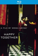 春光乍泄  一起快乐 | Happy Together 