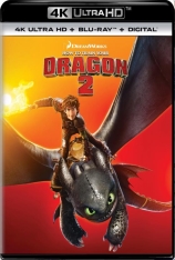 4K 驯龙高手2 驯龙记2 |  How to Train Your Dragon 2 