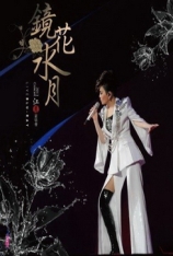 江蕙 2013鏡花水月演唱會 Null