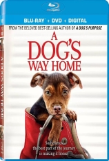 一条狗的回家路 贝拉400哩的约定 | A Dog's Way Home 