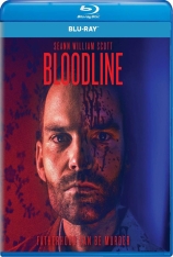 血亲 致命血统 | Bloodline 