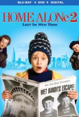 小鬼当家2 国语 宝贝智多星续集：玩转纽约 | Home Alone 2: Lost in New York 