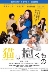 猫是要抱着的 拥抱猫咪 | The Cat In Their Arms 