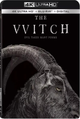 4K 女巫 女巫：新英格兰的传说 | The VVitch: A New-England Folktale 