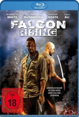 猎鹰突起 炮灰战队之鹰犬崛起 | Falcon Rising 