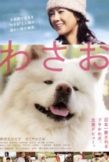 秋田犬蓬夫 Wasao