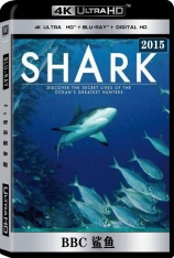 4K BBC 鲨鱼 无字幕  碧海狂鲨 | Shark 