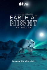 4K.BBC.夜色中的地球 1-2季合集 Earth at Night in Color Season 1 