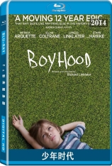 少年时代 我们都是这样长大的 |  Boyhood 