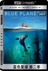 BBC 4K 蓝色星球 第二季 蓝色星球2  | Blue Planet II  