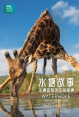 地球频道 水塘故事 / Waterhole: Africa's Animal Oasis