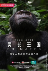 灵长王国 第一季 Primates |  