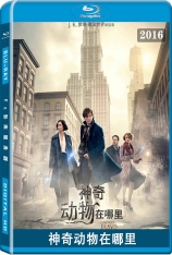 神奇动物在哪里 3D 怪兽与它们的产地 | Fantastic Beasts and Where to Find Them 