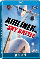 客机空战 航空大对决 | Airliner Sky Battle 